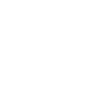 White Google Icon