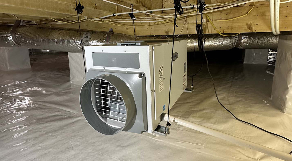 dehumidifying services